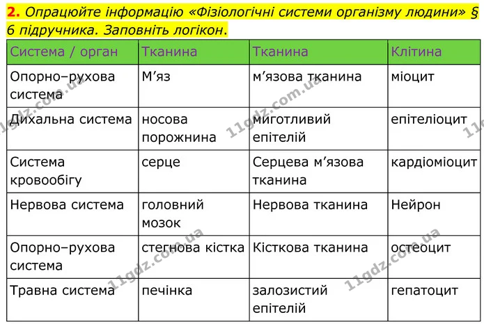 2. Опрацюйте інформацію «Фізіологічні системи організму людини» § 6 підручника. Заповніть логікон. — ГДЗ Робочий зошит Біологія 8 клас Кулініч