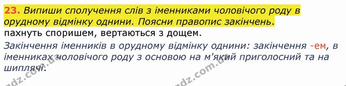 23. Випиши сполучення слів з іменниками чоловічого роду в орудному відмінку однини. Поясни правопис закінчень. — ГДЗ Українська мова 4 клас Вашуленко 2021 (1 частина)