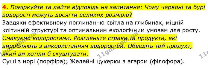4. Поміркуйте та дайте відповідь на запитання: Чому червоні та бурі водорості можуть досягти великих розмірів? — ГДЗ робочий зошит Біологія 7 клас Кулініч
