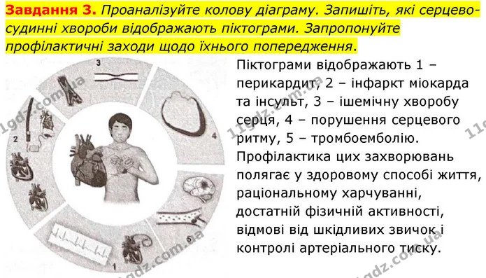 Стор. 78 — 3 — ГДЗ Робочий зошит біологія 8 клас Мирна — ГДЗ Робочий зошит біологія 8 клас Мирна