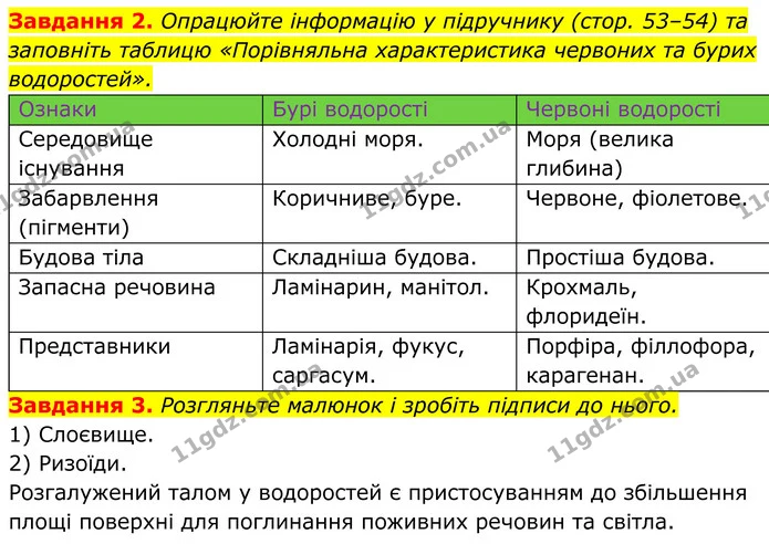 2. Опрацюйте інформацію у підручнику (стор. 53–54) та заповніть таблицю «Порівняльна характеристика червоних та бурих водоростей». — ГДЗ Робочий зошит Біологія 7 клас Мирна 2024