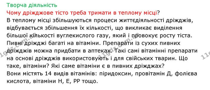 Стор. 23 — 3 — ГДЗ Робочий зошит Біологія 6 клас Соболь — ГДЗ Робочий зошит Біологія 6 клас Соболь