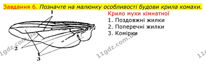 Стор. 26 — 6 — ГДЗ Робочий зошит з Біології 7 клас Яременко — ГДЗ Робочий зошит з Біології 7 клас Яременко
