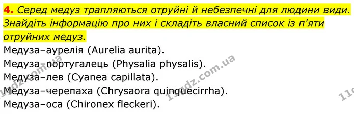 4. Серед медуз трапляються отруйні й небезпечні для людини види. Знайдіть інформацію про них і складіть власний список із п'яти — ГДЗ Біологія 7 клас Тагліна