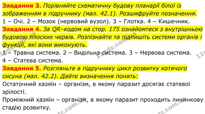 3. Порівняйте схематичну будову планарії білої із зображенням в підручнику (мал. 42.1). Розшифруйте позначення. — ГДЗ Робочий зошит Біологія 7 клас Мирна 2024