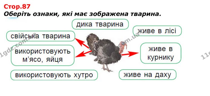 Оберіть ознаки, які має зображена тварина. — ГДЗ Я досліджую світ 1 клас Гільберг