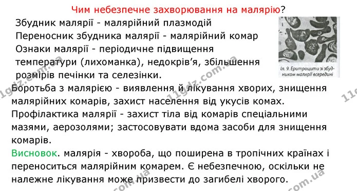 Стор. 20 — 3 — ГДЗ Робочий зошит Біологія 6 клас Соболь — ГДЗ Робочий зошит Біологія 6 клас Соболь