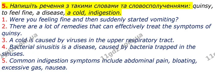 5. Напишіть речення з такими словами та словосполученнями: quinsy, to feel fine, a disease, a cold, indigestion. — ГДЗ Робочий зошит Англійська мова 7 клас Ходаковська, Несвіт