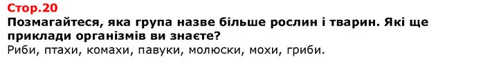 Позмагайтеся, яка група назве більше рослин і тварин. Які ще приклади організмів ви знаєте? — Решебник Я досліджую світ 1 клас Грущинська