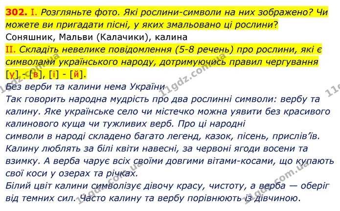 302. І. Розгляньте фото. Які рослини-символи на них зображено? Чи можете ви пригадати пісні, у яких змальовано ці рослини? — ГДЗ Українська мова 5 клас Заболотний 2022