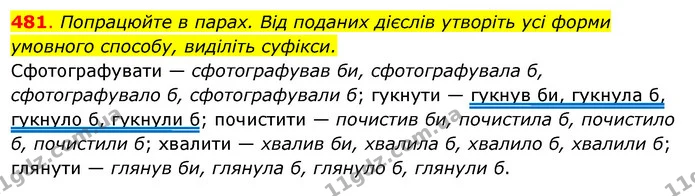 481. Попрацюйте в парах. Від поданих дієслів утворіть усі форми умовного способу, виділіть суфікси. — ГДЗ Українська мова 6 клас Ворон, Солопенко