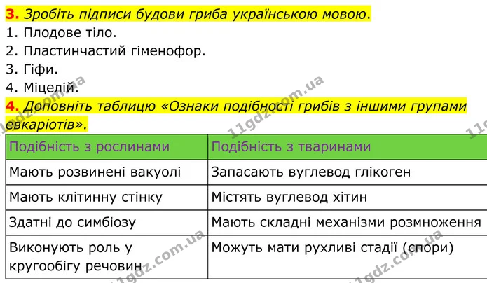 3. Зробіть підписи будови гриба українською мовою. — ГДЗ робочий зошит Біологія 7 клас Кулініч