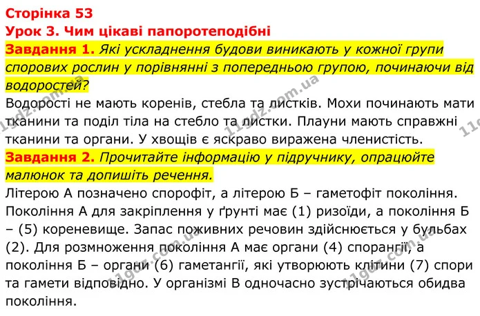 1. Які ускладнення будови виникають у кожної групи спорових рослин у порівнянні з попередньою групою, починаючи від водоростей? — ГДЗ Робочий зошит Біологія 7 клас Мирна 2024