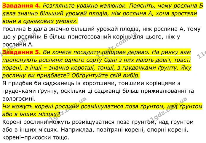 4. Розгляньте уважно малюнок. Поясніть, чому рослина Б дала значно більший урожай плодів, ніж рослина А, хоча зростали вони в однакових — ГДЗ Робочий зошит Біологія 7 клас Мирна 2024