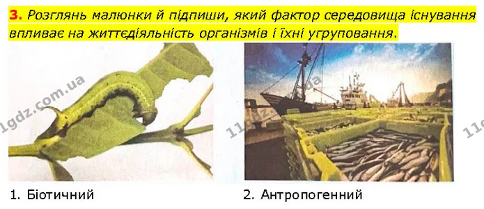 3. Розглянь малюнки й підпиши, який фактор середовища існування впливає на життєдіяльність організмів і їхні угруповання. — ГДЗ робочий зошит Біологія 7 клас Тагліна