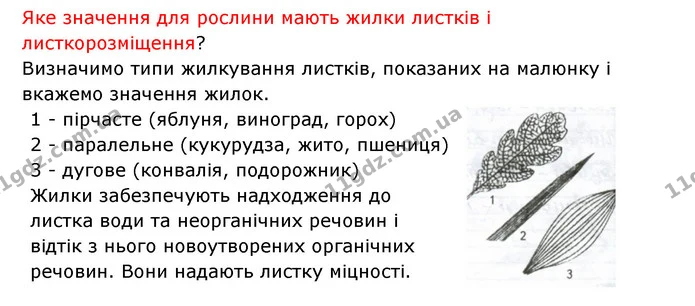 Стор. 42 — 2 — ГДЗ Робочий зошит Біологія 6 клас Соболь — ГДЗ Робочий зошит Біологія 6 клас Соболь