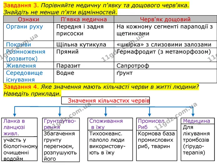 Стор. 18 — 3-4 — ГДЗ Робочий зошит з Біології 7 клас Яременко — ГДЗ Робочий зошит з Біології 7 клас Яременко