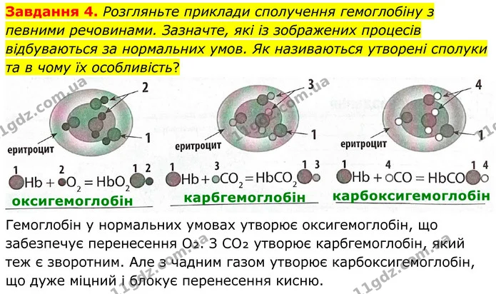 Стор. 68 — 4 — ГДЗ Робочий зошит біологія 8 клас Мирна — ГДЗ Робочий зошит біологія 8 клас Мирна