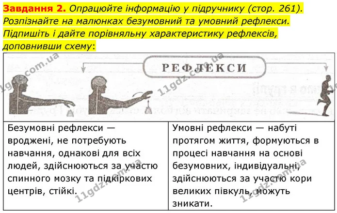 Стор. 119 — 2 — ГДЗ Робочий зошит біологія 8 клас Мирна — ГДЗ Робочий зошит біологія 8 клас Мирна