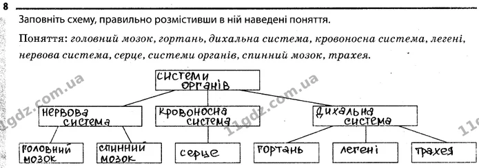 8 — ГДЗ Робочий зошит Біологія 7 клас Задорожний — ГДЗ Робочий зошит Біологія 7 клас Задорожний