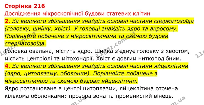 Стор. 216 — 1 — ГДЗ Біологія 8 клас Тагліна — ГДЗ Біологія 8 клас Тагліна
