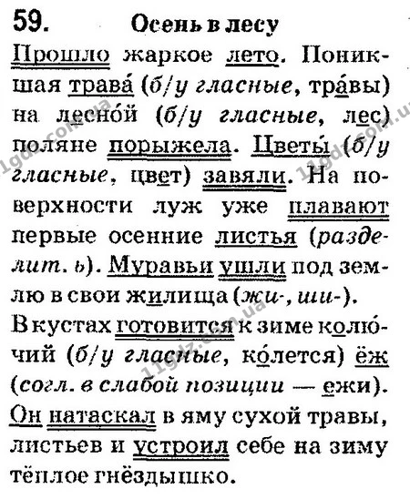 59 — ГДЗ Русский язык 4 класс Сильнова, Каневская 2015