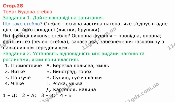 Стор. 28 — 1-2 — ГДЗ Робочий зошит Біологія 6 клас Мечник — ГДЗ Робочий зошит Біологія 6 клас Мечник