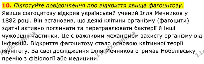 10. Підготуйте повідомлення про відкриття явища фагоцитозу. — ГДЗ робочий зошит Біологія 8 клас Андерсон
