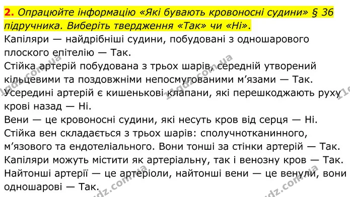 2. Опрацюйте інформацію «Які бувають кровоносні судини» § 36 підручника. Виберіть твердження «Так» чи «Ні». — ГДЗ Робочий зошит Біологія 8 клас Кулініч