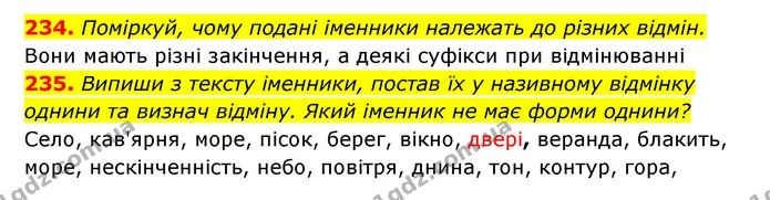 234. Поміркуй, чому подані іменники належать до різних відмін. — ГДЗ Українська мова 6 клас Онатій