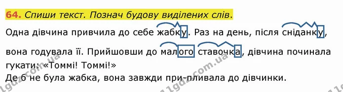 64. Спиши текст. Познач будову виділених слів. — ГДЗ Українська мова та читання 4 клас Кравцова