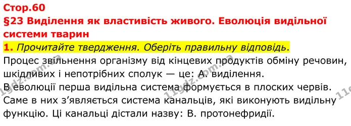 1. Прочитайте твердження. Оберіть правильну відповідь. — ГДЗ Робочий зошит Біологія 8 клас Тагліна (2025)
