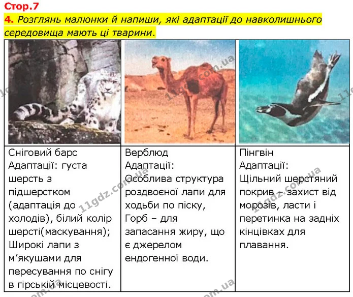 4. Розглянь малюнки й напиши, які адаптації до навколишнього середовища мають ці тварини. — ГДЗ робочий зошит Біологія 7 клас Тагліна