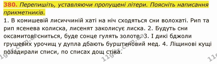 380. Перепишіть, уставляючи пропущені літери. Поясніть написання прикметників. — ГДЗ Українська мова 6 клас Глазова