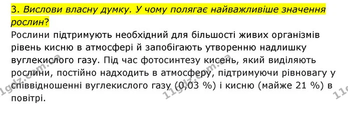 3. Вислови власну думку. У чому полягає найважливіше значення рослин? — ГДЗ Я досліджую світ 3 клас Грущинська (1 частина)