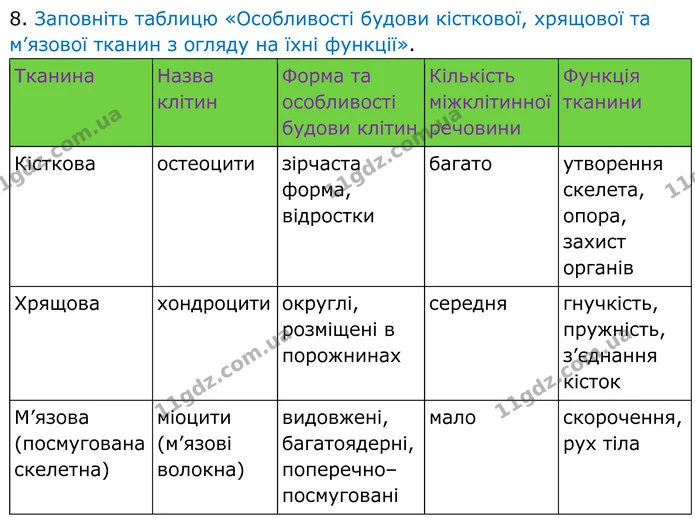 Стор. 24 — 2 — ГДЗ Робочий зошит Біологія 8 клас Кулініч — ГДЗ Робочий зошит Біологія 8 клас Кулініч