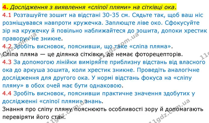 1. Підпишіть ті компоненти будови ока, які ви знаєте — частина 4 — ГДЗ Робочий зошит Біологія 8 клас Тагліна (2025)