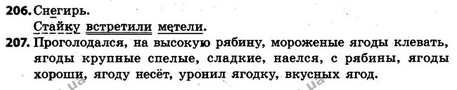 206-207 — ГДЗ Русский язык 4 класс Самонова, Стативка 2015