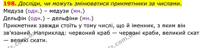198. Досліди, чи можуть змінюватися прикметники за числами. — ГДЗ Українська мова та читання 3 клас Кравцова (1 частина)