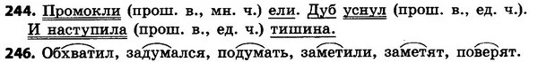244-246 — ГДЗ Русский язык 4 класс Сильнова, Каневская 2015