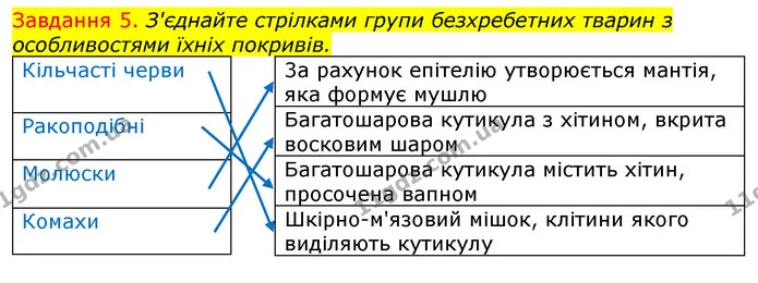 Стор. 73 — 5 — ГДЗ Робочий зошит з Біології 7 клас Яременко — ГДЗ Робочий зошит з Біології 7 клас Яременко