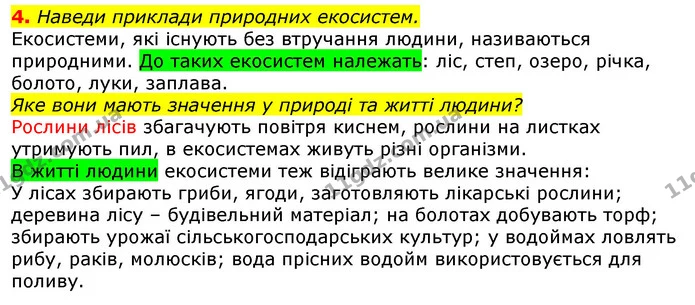 4. Наведи приклади природних екосистем. — ГДЗ Природознавство 5 клас Коршевнюк