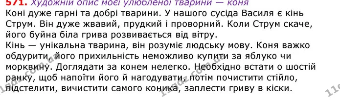 ГДЗ Українська мова 5 клас Єрмоленко 2018 — ГДЗ Українська мова 5 клас Єрмоленко 2018
