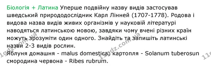 Стор. 66 — 3 — ГДЗ Робочий зошит Біологія 6 клас Соболь — ГДЗ Робочий зошит Біологія 6 клас Соболь