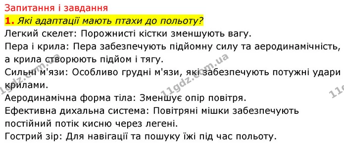 1. Які адаптації мають птахи до польоту? — ГДЗ Біологія 7 клас Тагліна