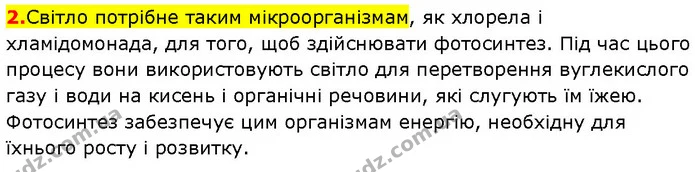2. Світло потрібне таким мікроорганізмам, як хлорела і хламідомонада, для того, щоб здійснювати фотосинтез. Під час цього процесу вони — ГДЗ Робочий зошит Пізнаємо природу 6 клас Коршевнюк