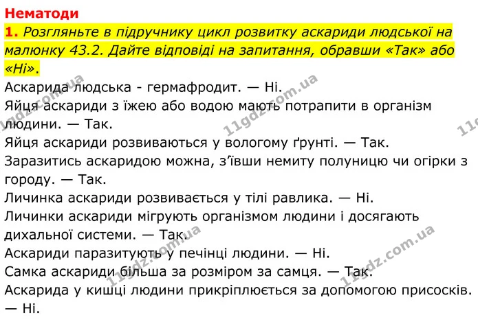 1. Розгляньте в підручнику цикл розвитку аскариди людської на малюнку 43.2. Дайте відповіді на запитання, обравши «Так» або «Ні». — ГДЗ робочий зошит Біологія 7 клас Кулініч