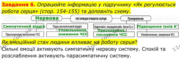 Стор. 75 — 6 — ГДЗ Робочий зошит біологія 8 клас Мирна — ГДЗ Робочий зошит біологія 8 клас Мирна
