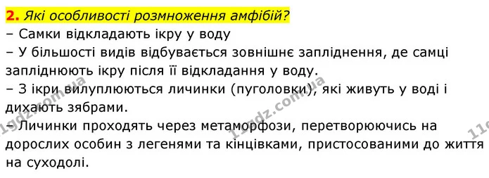 2. Які особливості розмноження амфібій? — ГДЗ Біологія 7 клас Тагліна