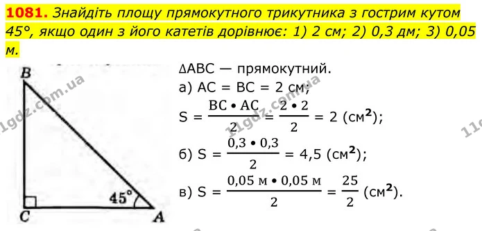 1081. Знайдіть площу прямокутного трикутника з гострим кутом 45°, якщо один з його катетів дорівнює: 1) 2 см; 2) 0,3 дм; 3) 0,05 м. — ГДЗ Геометрія 8 клас Бурда